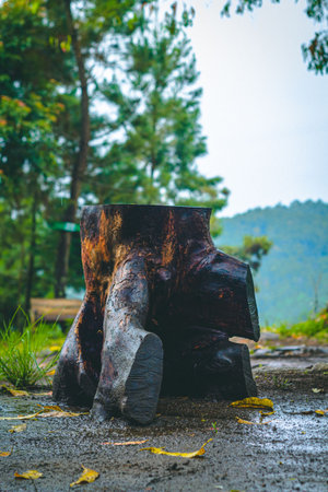Natural chair for garden furniture made from wooden logの写真素材