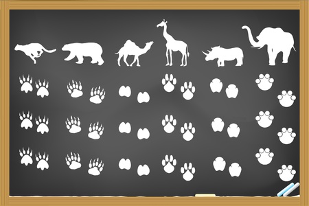 some animals footprints drawing on blackboardのイラスト素材