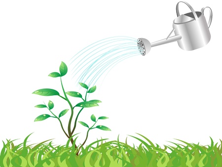 isolated watering the young tree on white backgroundのイラスト素材