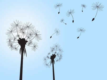 dandelion and its offspings floating into the skyのイラスト素材