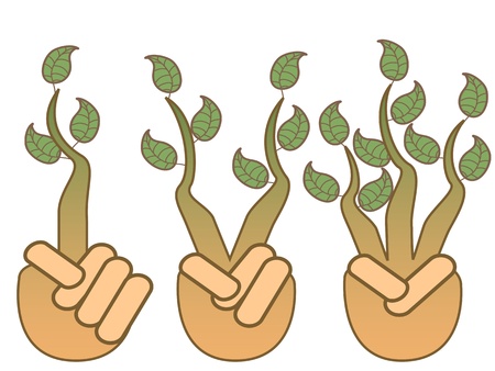 isolated green leaf growing from hands on white backgroundのイラスト素材