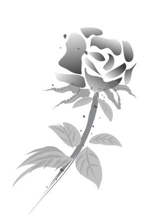 rose flower -chinese painting-black & white versionのイラスト素材