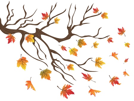 the background of maples fallingのイラスト素材