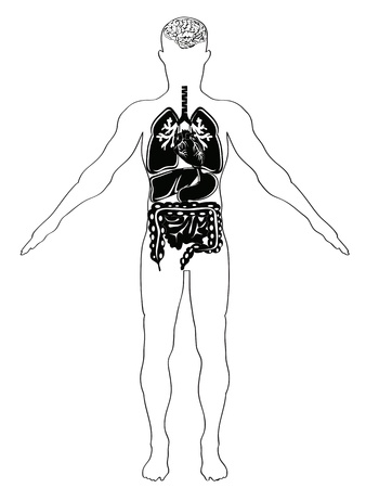 human anatomy in black & white versionのイラスト素材