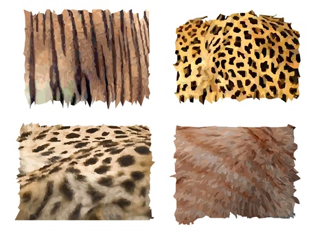 four different kind of feline animals fur patternsのイラスト素材