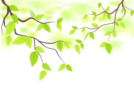 the background of green leaves with copy spaceのイラスト素材