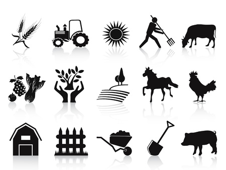 isolated black farm and agriculture icons set on white backgroundのイラスト素材