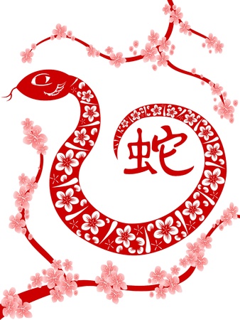 the background of Chinese Snake year のイラスト素材
