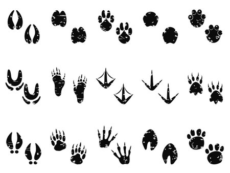 isolated black grungy Animal Footprint Track icon from white backgroundのイラスト素材