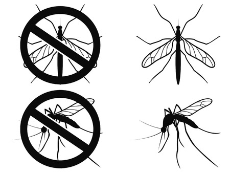 isolated black Mosquitoes warning symbol on white backgroundのイラスト素材