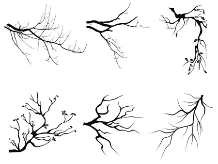 isolated branch Silhouette shapes from white backgroundのイラスト素材