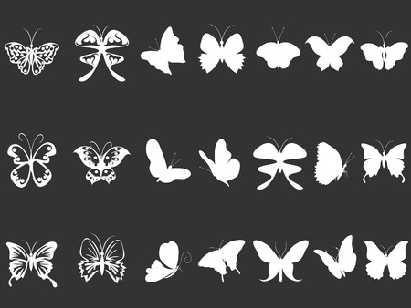 isolated white butterfly silhouettes from black backgroundのイラスト素材