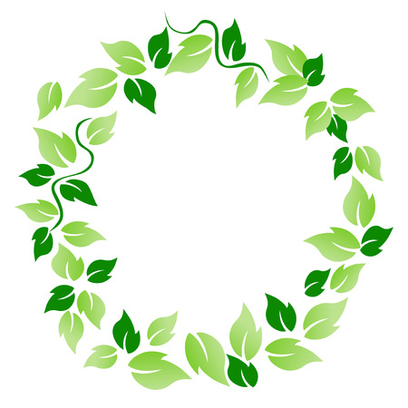 Isolated green leaf circle from white backgroundのイラスト素材