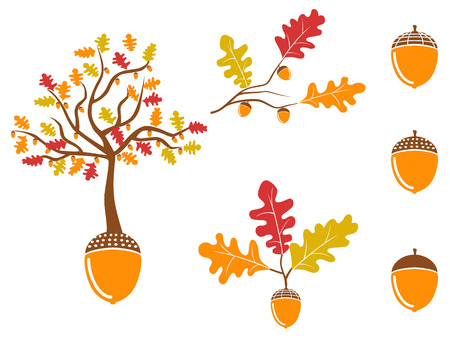isolated color oak acorn icons set from white backgroundのイラスト素材
