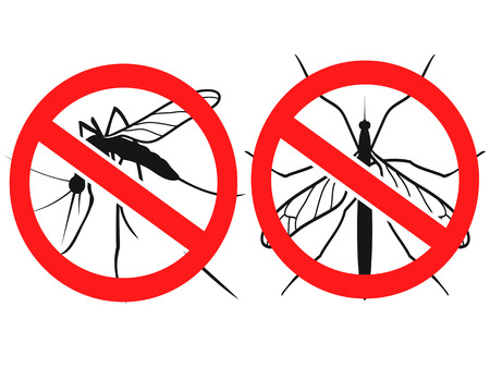 Isolated anti Mosquitoes sign,vector from white backgroundのイラスト素材