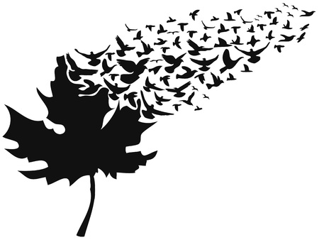 isolated birds flying away maple leaf on white backgroundのイラスト素材