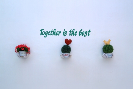 Nice idea for plant on the wallの写真素材