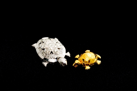 Silver and gold turtles in the universeの写真素材