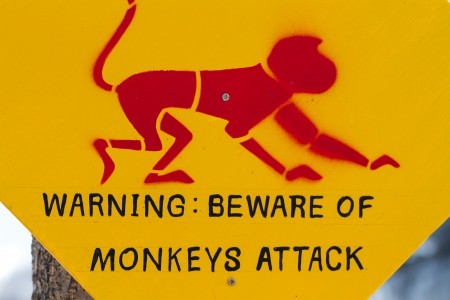 Warning sign for beware of monkeysの写真素材