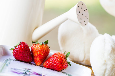 close up fresh strawberries with watering potの写真素材