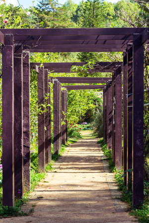 wood lath decorated in gardenの写真素材
