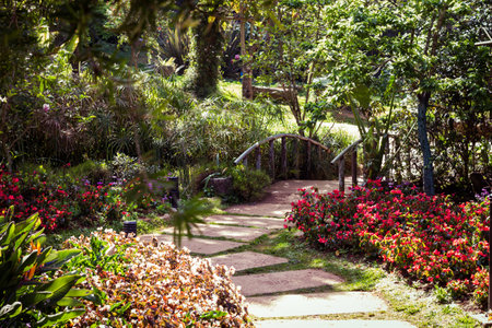 colorful plants in garden and small bridgeの写真素材