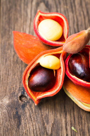 fresh chestnut flower on wood backgroundの写真素材