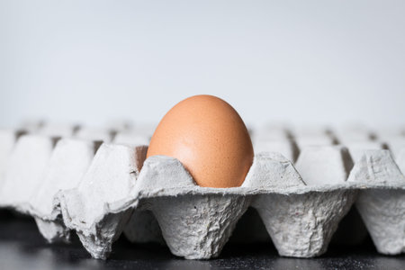 egg alone in paper tray