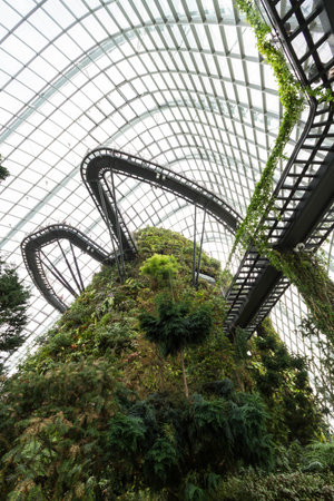 SINGAPORE-JULY 6: Cloud Forest Dome at Gardens by the Bay on July 6, 2014 in Singapore. Spanning 101 hectares of reclaimed land in central Singapore, adjacent to Marina Reservoir.のeditorial素材