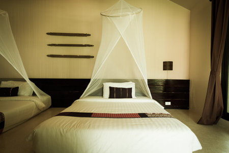 bedroom decorated in contemporary style with mosquito netのeditorial素材