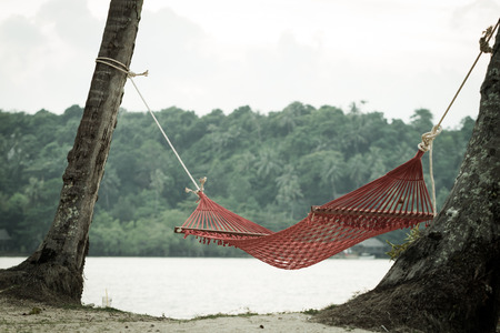empty hammock hanging on coconut tree on the beachの写真素材