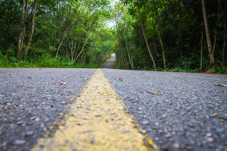 road with tree tunnel in thailandの写真素材