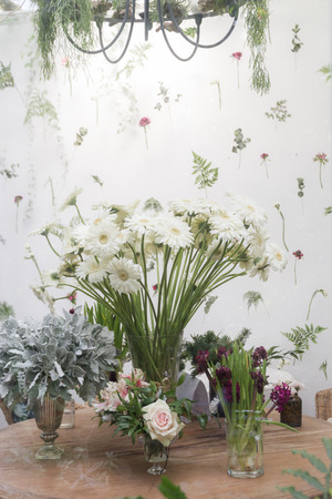 aster flowers vase in garden roomの写真素材