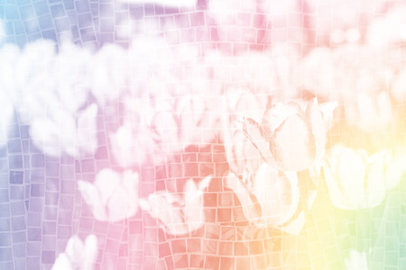 tulip field on colorful tiles wallの写真素材
