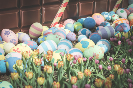 colorful easter eggs in tulip gardenの写真素材