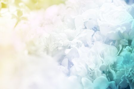 soft blur flower bouquet backgroundの写真素材