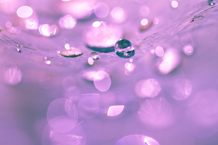 dew drop on lotus leafの写真素材