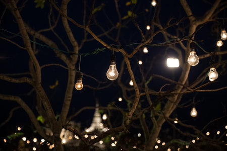 vintage light bulbs decorated on treeの写真素材