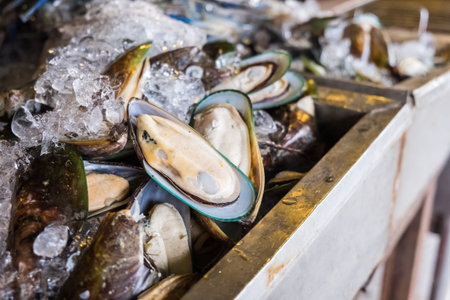 raw fresh mussel on ice at market