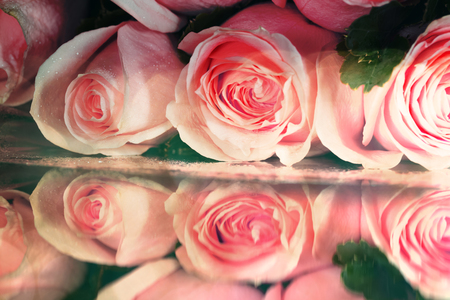 closeup rose bouquet on black backgroundの写真素材