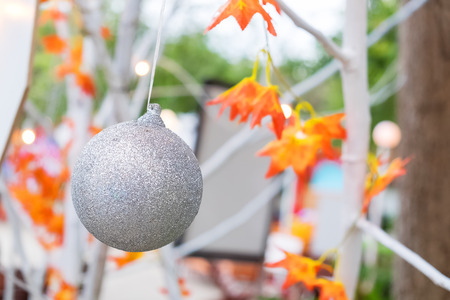 silver christmas ball decorated on maple treeの写真素材