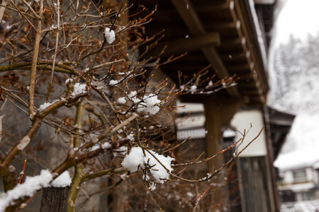 closeup dry tree branches with snow in wood house villageの写真素材