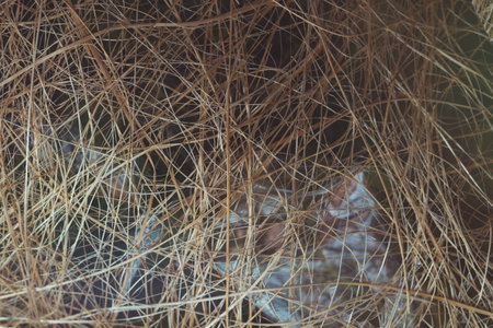 dried straw texture from flower bouquet