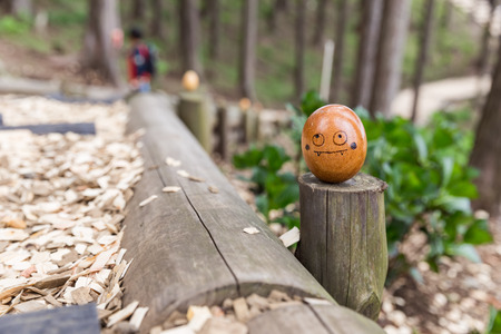 wood egg with face painting in forest の写真素材