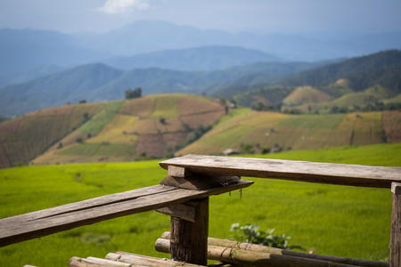 Wood terrace with green rice field in northern Thailandの写真素材