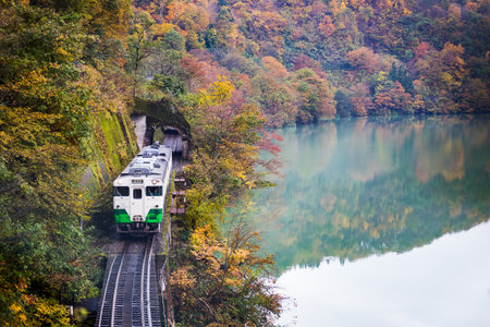 train from tunnel along tadami river in autumnのeditorial素材