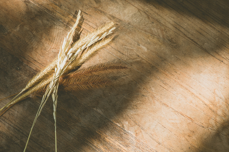 Dried wheat grass on wood table with shade and sunlightの写真素材