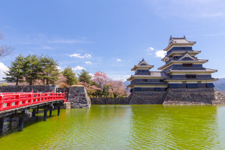 Matsumoto castle with red bridge in springのeditorial素材