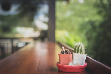 cactus pots on wood counter bar with nature viewの写真素材