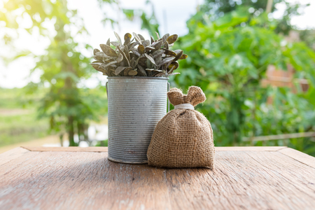 money or product gunny bag with green nature backgroundの写真素材